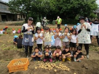 取り組みの成果